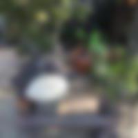 多度津町の裏垢女子[4] 梨花＠裏垢 さん(18)のプロフィール画像